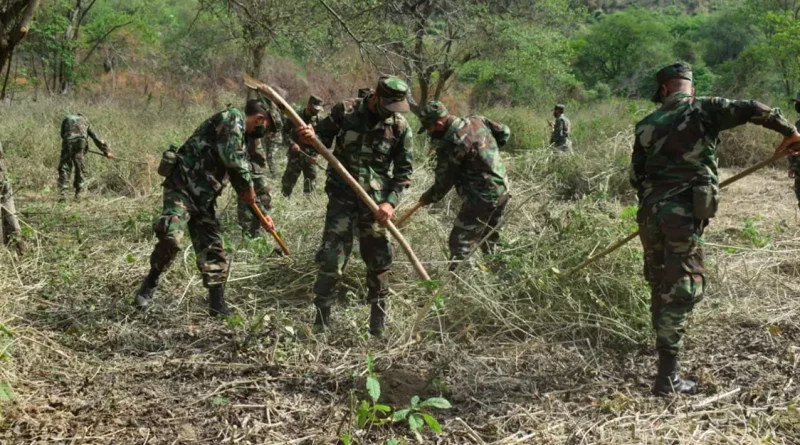 reforestación, managua, ejercito, nicaragua, marena