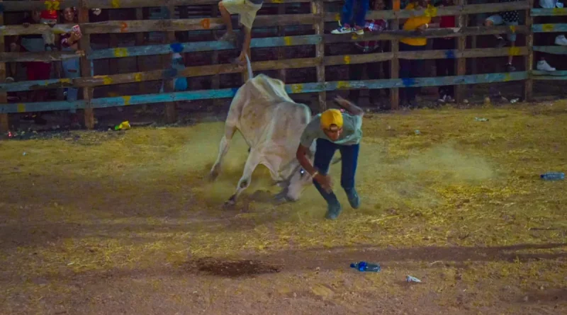 exhibicion taurina, toros, corrida de toros, nagarote, managua, nicaragua, alcaldia de nagarote,