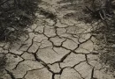 sequía, españa, ministros, noticias, alerta, agua, lluvias