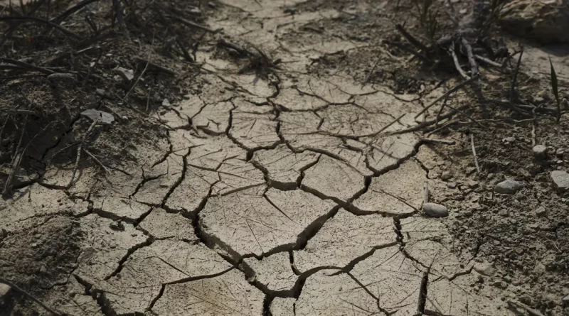 sequía, españa, ministros, noticias, alerta, agua, lluvias