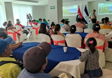 agricultores, producción, INTA, conferencia, impulsa, sostenible, corredor, seco, Nicaragua, agroforestales, sistemas,