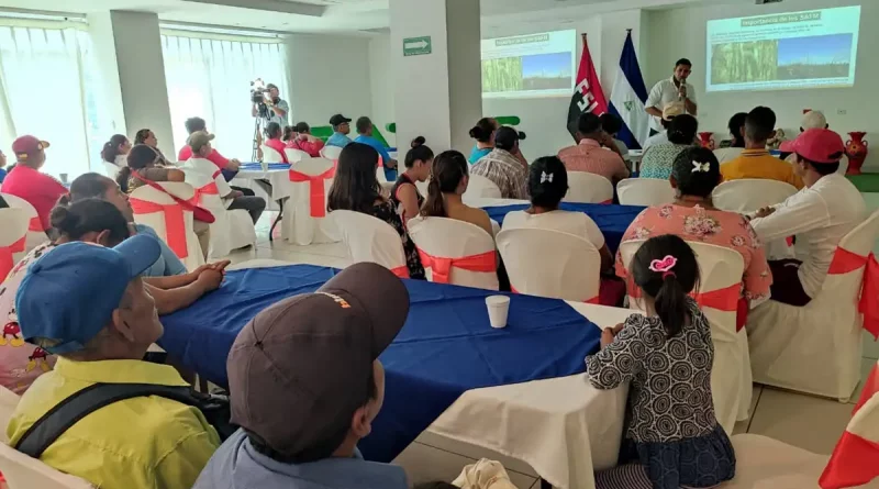 agricultores, producción, INTA, conferencia, impulsa, sostenible, corredor, seco, Nicaragua, agroforestales, sistemas,