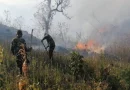 incendios dorestales, nicaragua, sinapred, emercengias,