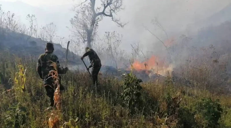 incendios dorestales, nicaragua, sinapred, emercengias,