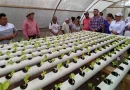 mefcca, centro, capacitacion, adicion, tecnologias