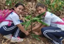 ministerio de educación, mined, jornada de reforestación, Managua, Nicaragua