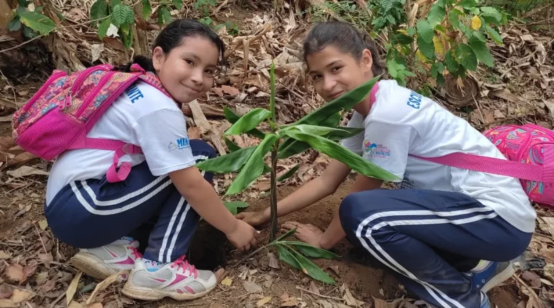 ministerio de educación, mined, jornada de reforestación, Managua, Nicaragua