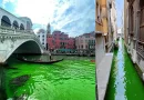 mancha, misteriosa, Venecia, verde, agua, canales, preocupación, canal, famoso, brillante, color, desconcertante, tiñe,