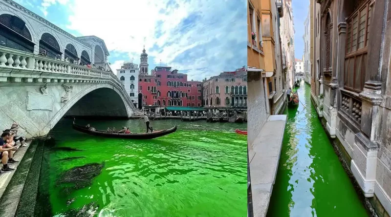 mancha, misteriosa, Venecia, verde, agua, canales, preocupación, canal, famoso, brillante, color, desconcertante, tiñe,