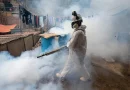 dengue, epidemia, peru, emergencia, sanitaria, muertes, hospitales saturados