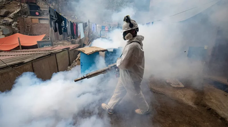 dengue, epidemia, peru, emergencia, sanitaria, muertes, hospitales saturados