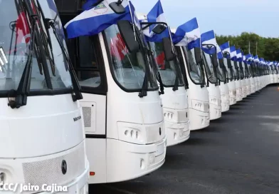 buses rusos, transporte publico, daniel ortega, nicaragua, mti, nuevos buses,
