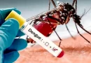 vacuna contra el dengue, dengue, nicaragua, rusia, instituto Méchnikov,