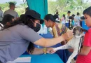 sistema penitenciario, matagalpa, nicaragua, feria de salud animal, mascotas, waslali