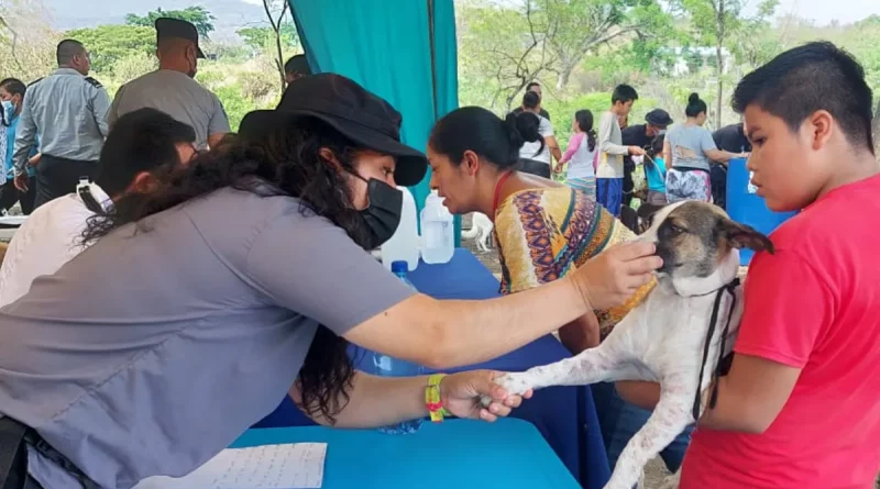 sistema penitenciario, matagalpa, nicaragua, feria de salud animal, mascotas, waslali