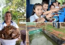 crianza de tilapias, nueva guinea, colegio 14 de septiembre, nicaragua, merienda escolar,