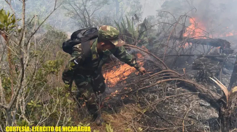 incendio forestal, rio blanco, matagalpa, nicaragua, ejercito de nicaragua,