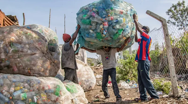 descubren, microbios, digerir, plástico, bajas, temperaturas, biodegradables, medioambiente, disminuir, carga, reducir, ambiental, científicos,