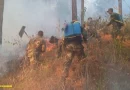 ejercito de nicaragua, ejercito, incendio forestal, yucul, san ramon, matagalpa,