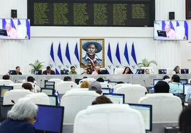 asamblea de nicaragua, cruz roja, nicaragua, ley organica,