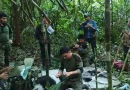 niños, sobrevivientes, selva, colombia, rescatados, ejercito
