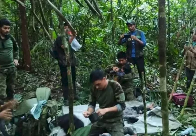 niños, sobrevivientes, selva, colombia, rescatados, ejercito