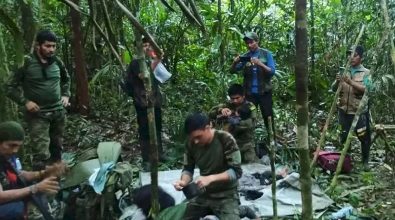 niños, sobrevivientes, selva, colombia, rescatados, ejercito