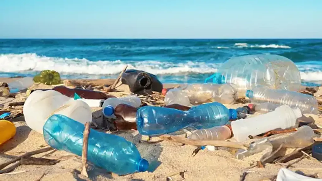 día, mundial, Medio, ambiente, contaminación, plástica, colapso, ecológico, planeta, enfrenta, reciclaje, plásticos, playa, mar, 