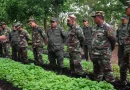ejercito, nicaragua, inafor, marena, trazabilidad, forestal