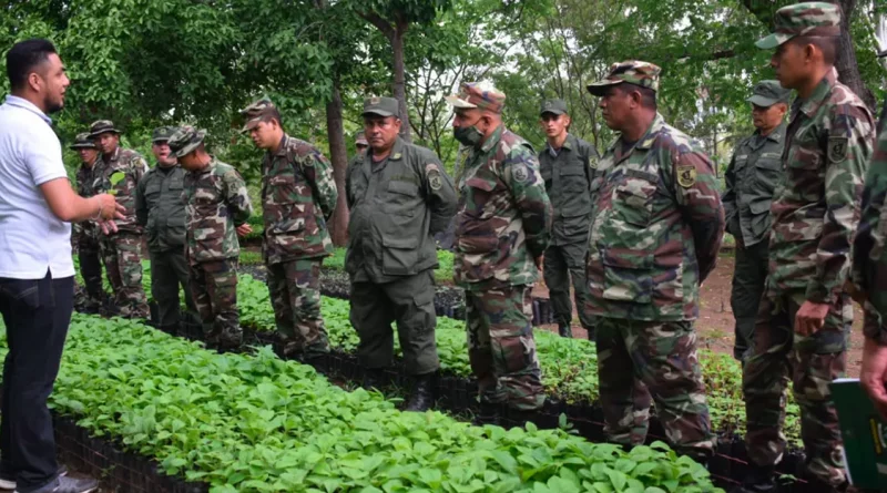 ejercito, nicaragua, inafor, marena, trazabilidad, forestal