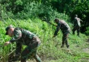 ejercito de nicaragua, managua, reforestacion, ahoyado, nicaragua, managua, ejercito de nicaragua