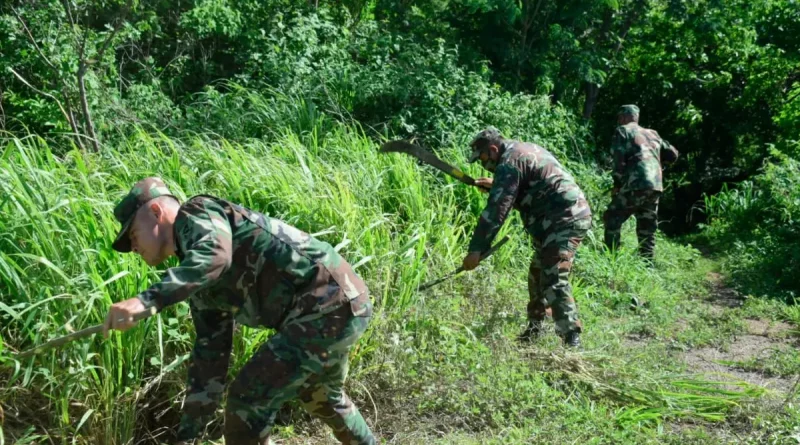 ejercito de nicaragua, managua, reforestacion, ahoyado, nicaragua, managua, ejercito de nicaragua