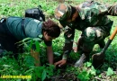 jornada, reforestación, ejército de nicaragua, Managua, reforestación, nejapa, ambiente, reforestación, ambiental,