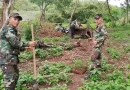 ejército de nicaragua, juigalpa, chontales, reforestación, jornada de reforestación,