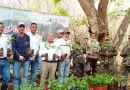 ejercito, nicaragua, carazo, managua, laguna de apoyo, reforestación, efectivos militares, marena