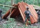 nicaragua, jinotega, wiwili, las cuevas, ejercito, ejercito de nicaragua, comando militar regional, minsa, madera ilegal, ilegal