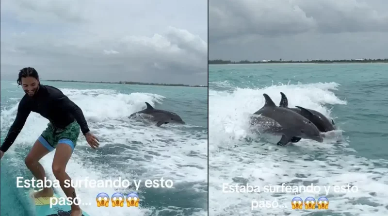 Maluma, encuentro, mágico, único, playa, mar, delfines, saltaron, sorprendido, practicaba, surf, mientras, varios, lado,