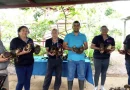 musaceas, produccion, nicaragua, agricultura, plátano, guineo, mefcca