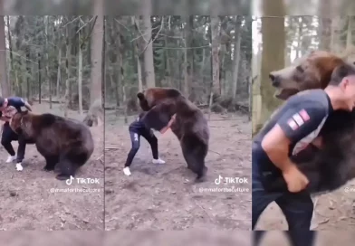 pelea, oso, grizzly, increíble, luchador, UFC, entre, enfrentamiento, Yasubey, Enomoto, video, viral, redes,