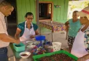 mefcca, nicaragua, emprendimientos, cacao, cardenas, colon, rivas, rivas nicaragua, licor de cacao, derivados de cacao, economia familiar, ministerio de economia