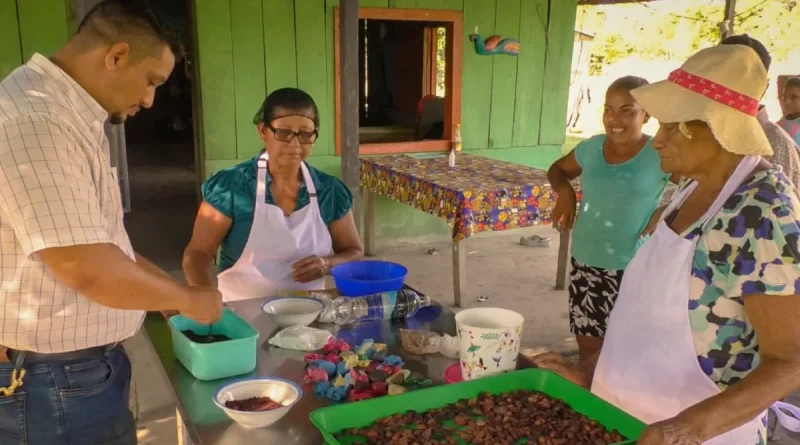 mefcca, nicaragua, emprendimientos, cacao, cardenas, colon, rivas, rivas nicaragua, licor de cacao, derivados de cacao, economia familiar, ministerio de economia