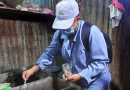 minsa, managua, dengue, nicaragua, campaña antiepidemica, barrio javier cuadra,