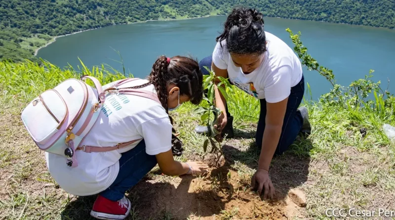 campaña reforestación, verde que te quiero verde, nicaragua, marena, ejército nicaragua