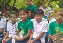 escuela, josefa toledo, dia del arbol, nicaragua, celebracion, estudiantes, educacion, mined, niños