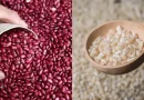 sistema de produccion, nicaragua, maiz, frijol, agricultura, siembra, primera