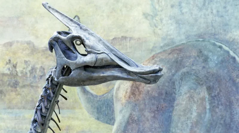 dinosaurio, animal, chile, esqueleto, huesos, chilena