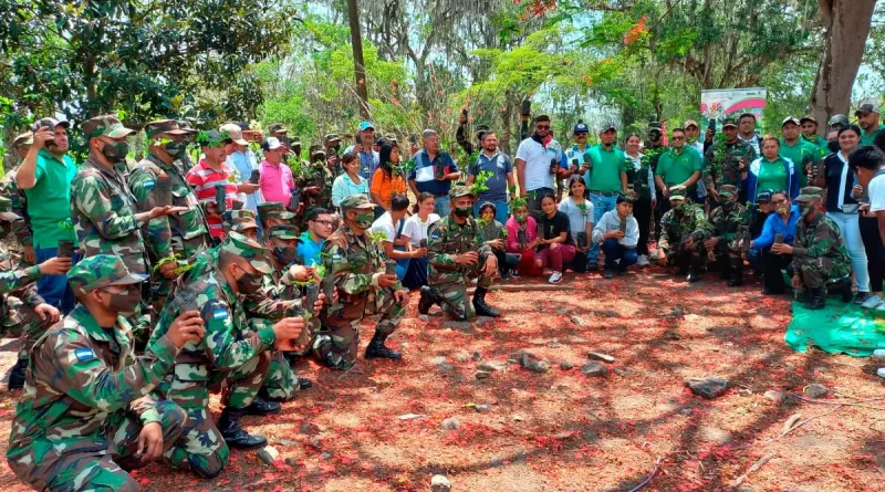 ejercito de nicaragua, nicaragfua, lanzamiebnto, campaña de reforestacion, nicaragua, matagalpa, ejercito,