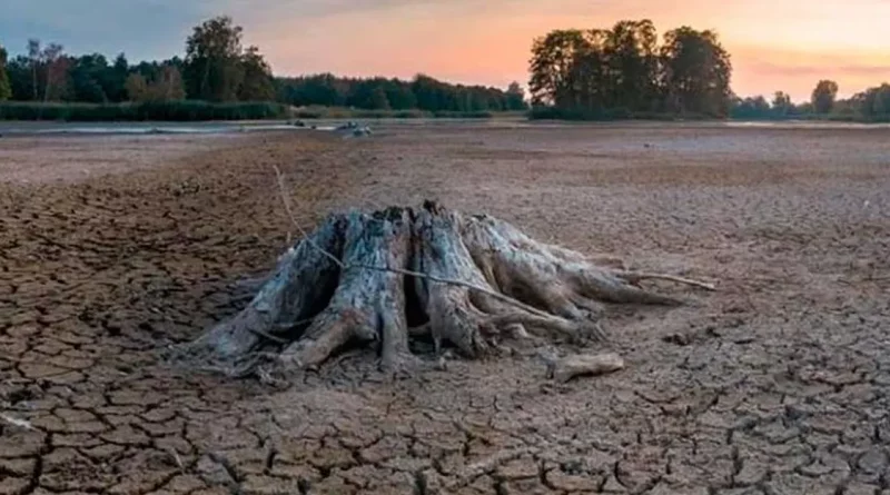 el niño, clima, cambio climático, medioambiente, mundo, océano, organización mundial clima