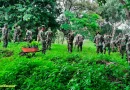nicaragua, ejercito de ncaragua, reforestacion, departamentos, nicaragua, efectivos militares