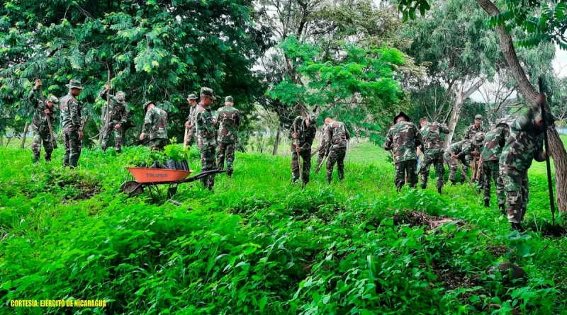 nicaragua, ejercito de ncaragua, reforestacion, departamentos, nicaragua, efectivos militares